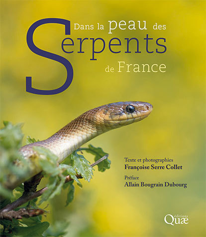 Couverture Dans la peau des serpents de France