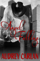 Couverture Falling, book 1: Angel Falling Editions Autoédité 2014