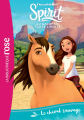 Couverture Spirit : Au galop en toute liberté, tome 1 : Le cheval sauvage Editions Hachette (Bibliothèque Rose) 2019
