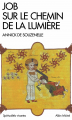 Couverture Job sur le chemin de la lumière Editions Albin Michel 2016