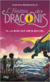 Couverture L'héritier des Draconis, tome 3 : La baie aux arcs-en-ciel Editions Pocket (Jeunesse) 2021