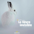 Couverture Le lièvre invisible  Editions Salamandre 2020