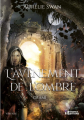 Couverture Orami, tome 2 : L'Avènement de l'ombre Editions Evidence (I-mage-in-air) 2020