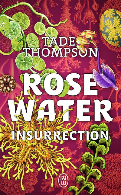 the rosewater insurrection