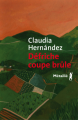 Couverture Défriche coupe brûle Editions Métailié (Bibliothèque Hispano-Américaine) 2021