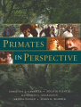 Couverture Primates In Perspective Editions Oxford University Press 2007
