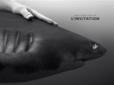 Couverture L'inviation Editions Les Arènes 2014