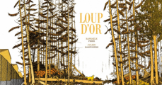 Couverture Loup d'or Editions Sarbacane 2020