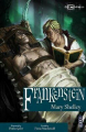 Couverture Frankenstein (Gelev) Editions Insight (UK) 2008