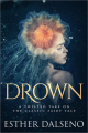 Couverture Drown Editions Little Bee Books 2015