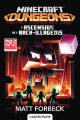 Couverture Minecraft Dungeons : L'ascension de l'Arch-Illageois Editions Castelmore 2021