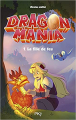 Couverture Dragon Mania, tome 1 : La fille de feu Editions Pocket (Jeunesse) 2021