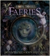 Couverture How to see Faeries Editions Abrams 2011