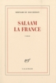 Couverture Salaam la France Editions Gallimard  (Blanche) 2010
