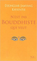 Couverture What makes you not a buddhist Editions NiL 2008