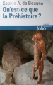 Couverture Qu'est ce que la préhistoire ? Editions Gallimard  (Bibliothèque des histoires) 2016