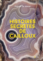 Couverture Histoires secrètes de cailloux Editions Belin 2021