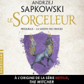 Couverture Le Sorceleur / The Witcher, tome 0.5 : La Saison des Orages Editions Hardigan 2021