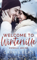 Couverture Winterville, book 1: Welcome to Winterville Editions Autoédité 2021