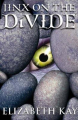 Couverture Félix et le monde à l'envers (The Divide), tome 3 Editions Chicken House 2006