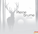 Couverture Pleine Brume Editions Gautier-Languereau (Découpe Laser) 2021