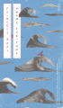 Couverture Princesse Bari Editions Scribe 2015