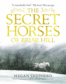 Couverture The Secret Horses of Briar Hill Editions Walker Books 2017