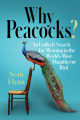 Couverture Why Peacocks?: An Unlikely Search for Meaning in the World's Most Magnificent Bird Editions Simon & Schuster 2021