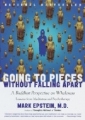 Couverture Going to pieces without falling apart Editions Broadway Books 1999