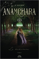 Couverture Anamchara, tome 1 : Le Voeu Editions Autoédité 2021
