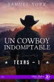 Couverture Texas, tome 1 : Texas Sauvage / Un Cowboy indomptable Editions Juno Publishing (Daphnis) 2022
