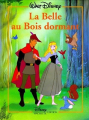 Couverture La Belle au Bois Dormant Editions Disney / Hachette 2002