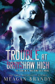 Couverture Brayshaw High, book 2: Trouble at Brayshaw High Editions Autoédité 2019