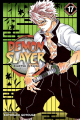 Couverture Les rôdeurs de la nuit / Demon Slayer, tome 17 Editions Viz Media 2020