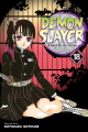 Couverture Les rôdeurs de la nuit / Demon Slayer, tome 18 Editions Viz Media 2020