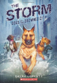 Couverture Dogs of the Drowned City, book 1: The Storm Editions Scholastic 2012