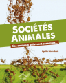 Couverture Sociétés animales : Ces animaux qui vivent ensemble Editions Circonflexe 2021