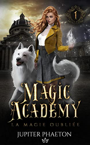 Couverture Magic Academy, tome 1 : La magie oubliée