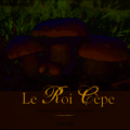Couverture Le Roi Cèpe : Confidences d'un champignon Editions Benoît Peyre 2011