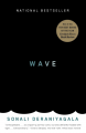 Couverture Wave Editions Random House (Vintage Books) 2013
