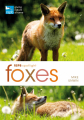 Couverture RSPB spotlight: Foxes Editions Bloomsbury 2015