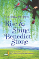 Couverture Rise and Shine, Benedict Stone Editions Park Row Books 2017