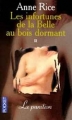 Couverture Les infortunes de la Belle au bois dormant, tome 2 : La punition Editions Pocket 1998