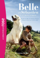 Couverture Belle et Sébastien, tome 2 : l'aventure continue Editions Hachette (Bibliothèque Rose) 2015