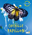 Couverture De la chenille au papillon Editions Grenouille (Cycles de vie) 2020