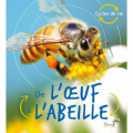 Couverture De l'oeuf à l'abeille Editions Grenouille (Cycles de vie) 2020