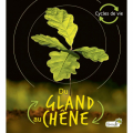 Couverture Du gland au chêne Editions Grenouille (Cycles de vie) 2022