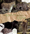 Couverture Les quatre saisons du lynx Editions Crépin-Leblond 2006