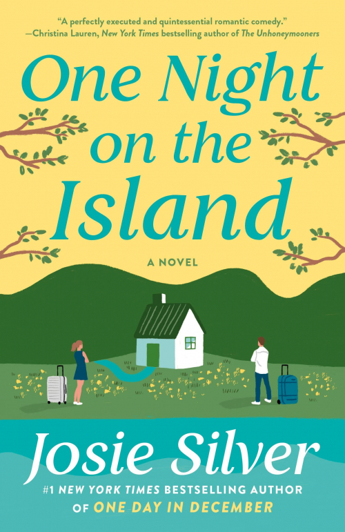 Couverture One night on the island
