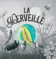 Couverture Tombée du ciel / La Merveille Editions Scholastic 2022